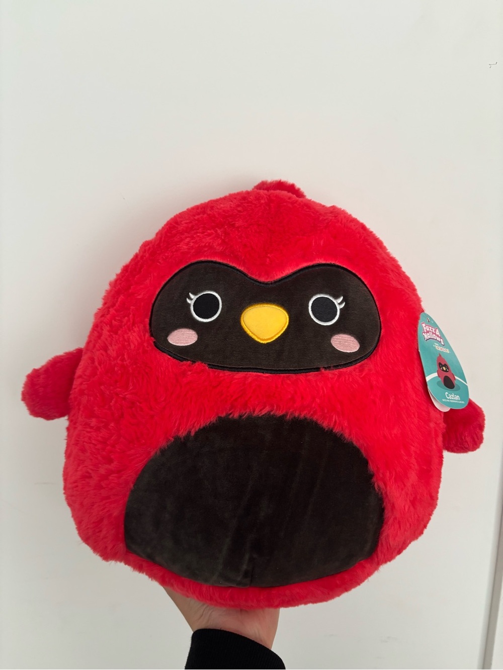 Squishmallows - Cazlan